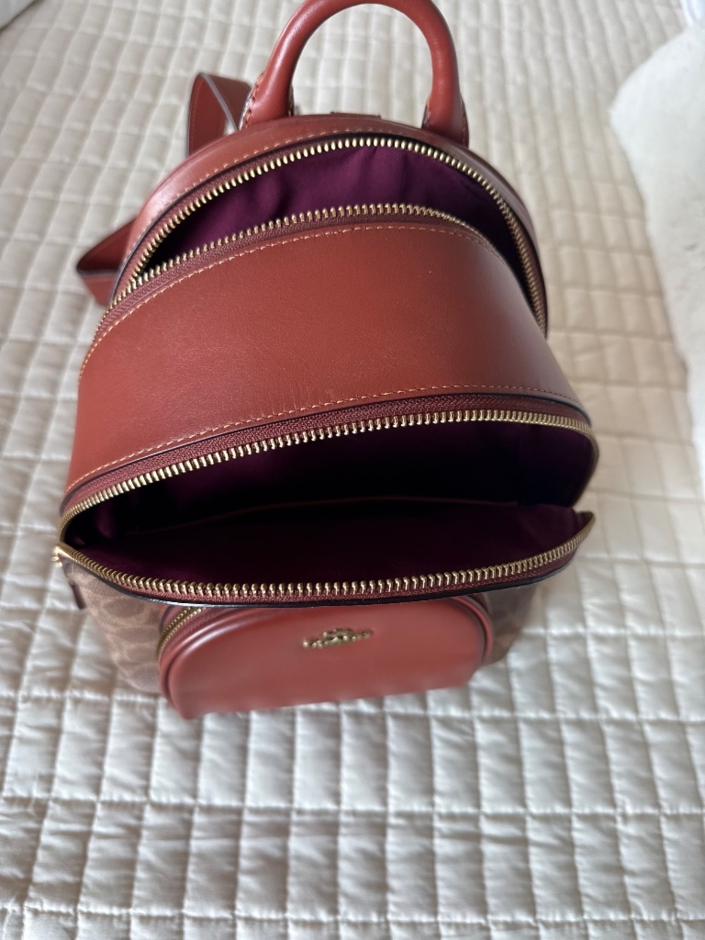 Coach Court Backpack in Signature Canvas - Picture 6 of 8
